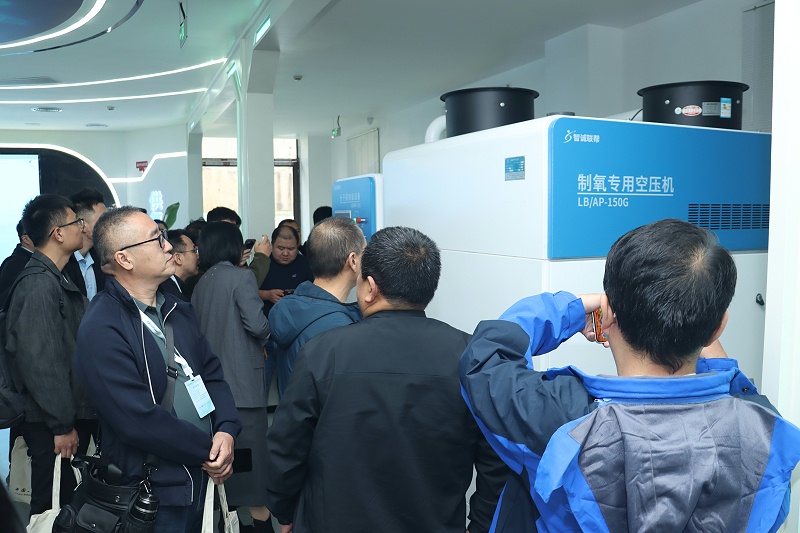 低壓無油醫(yī)用分子篩制氧設(shè)備