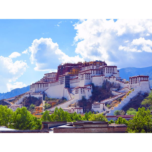 高原酒店供氧深受游客青睞，氧療需求不斷增大