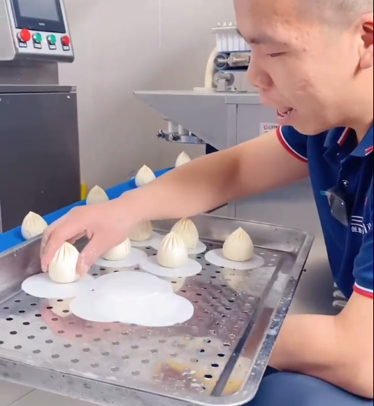 仿手工包子機制作老面包子