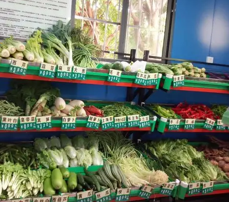 菜店需要什么樣的切菜機(jī)