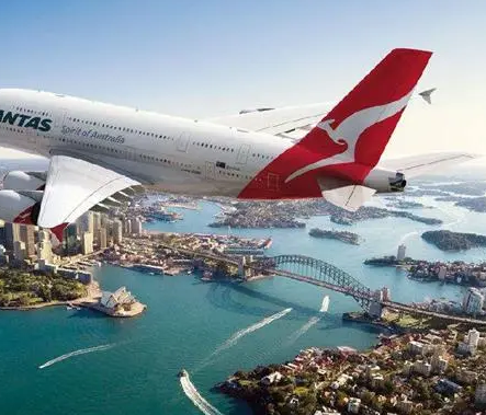 用什么樣的包子機可以做速凍包子？